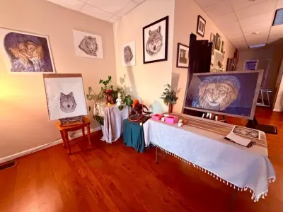 Wildlife drawings and paintings on display inside Phi Gallery.